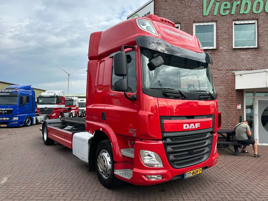 DAF CF 290 CF290 4X2 EURO6 SPACECAB RENOVA / VANGMUIL / LAADKLEP / TOP STAAT